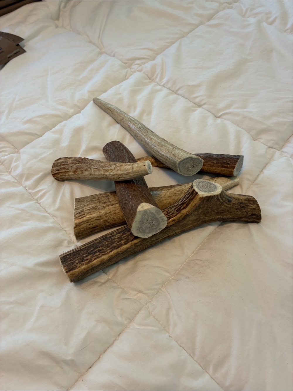 Natural Whole Elk Antler Chew for Dogs - ONLY USA ELK Natural Product!